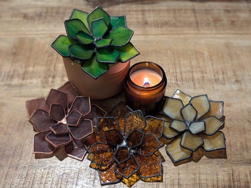 Green Stained Glass Succulent with black patina