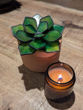 Green Stained Glass Succulent with black patina