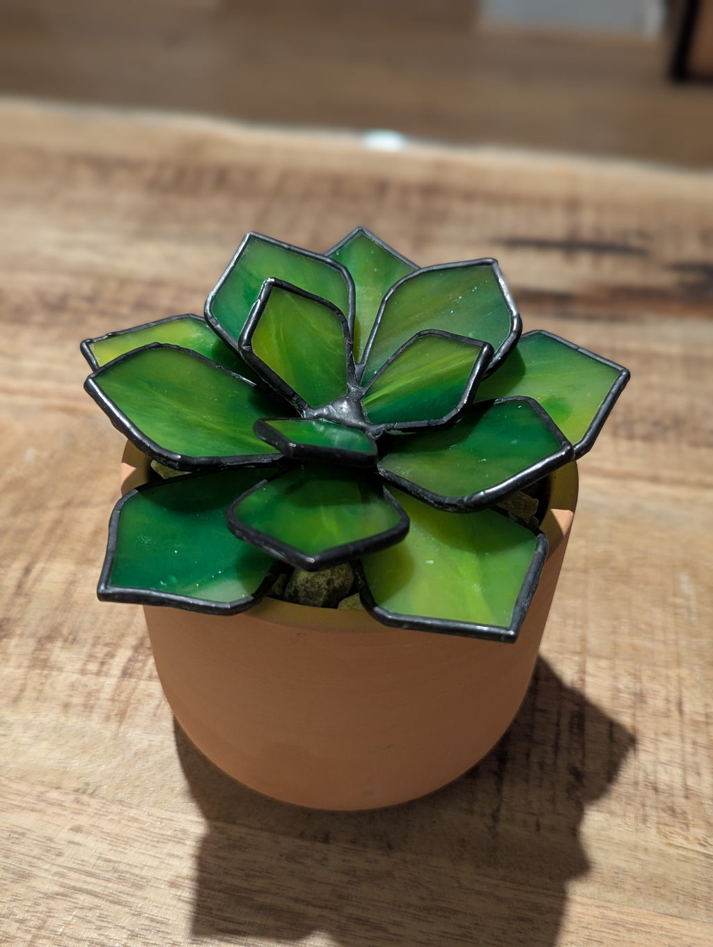 Green Stained Glass Succulent with black patina