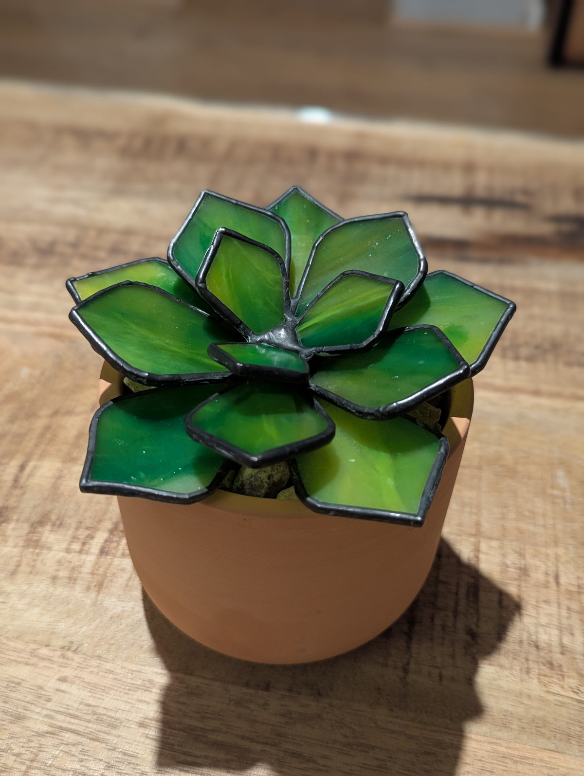 Green Stained Glass Succulent with black patina