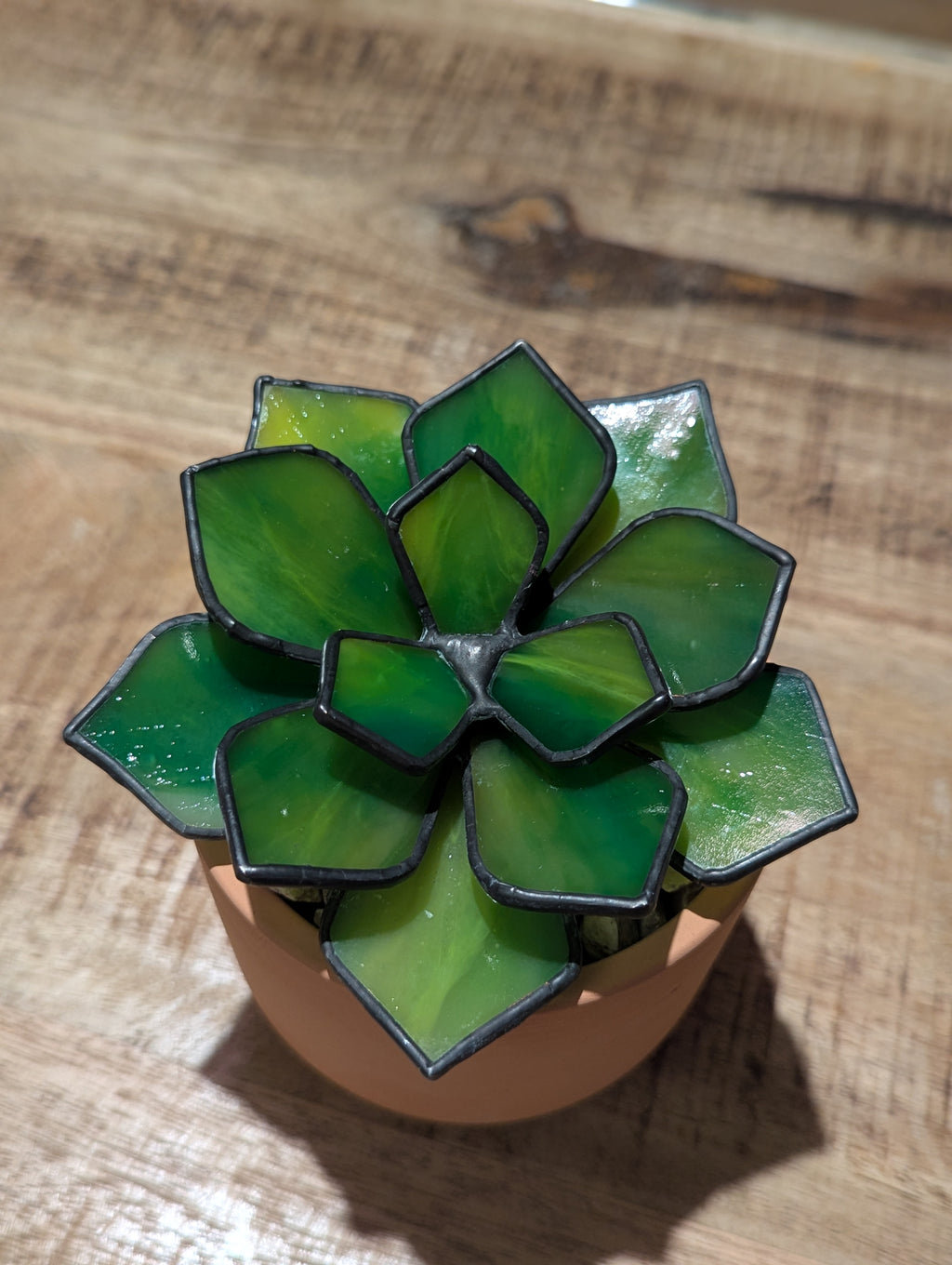 Green Stained Glass Succulent with black patina