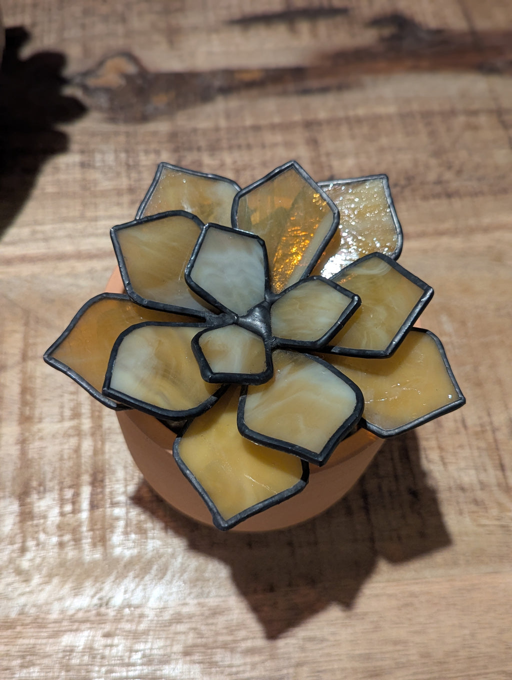Stained Glass 3D Succulent - Milky Honey with black patina