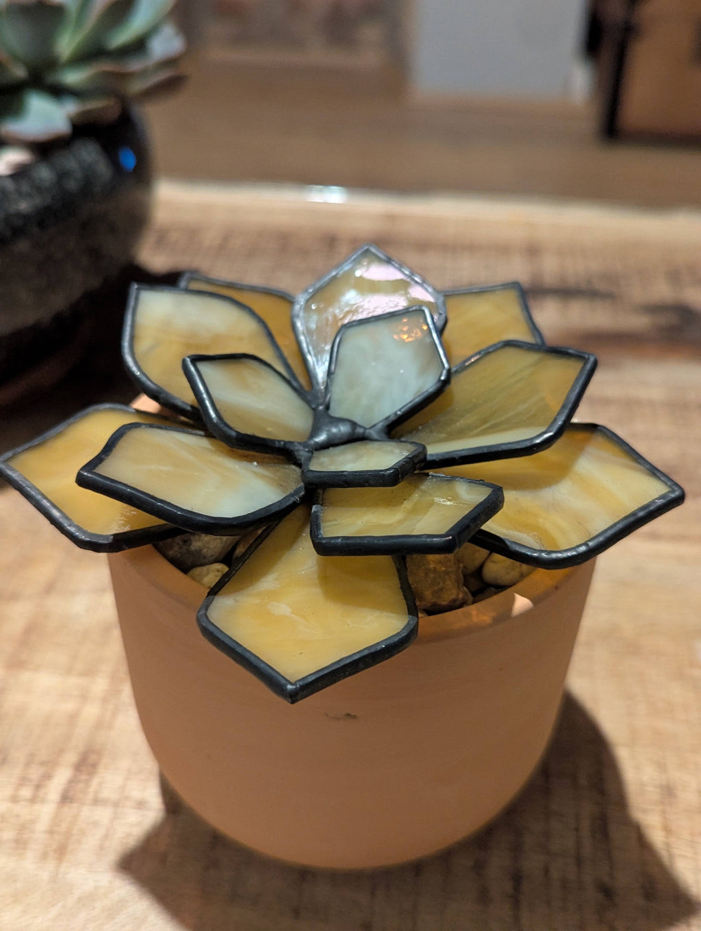 Stained Glass 3D Succulent - Milky Honey with black patina