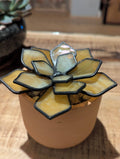 Stained Glass 3D Succulent - Milky Honey with black patina
