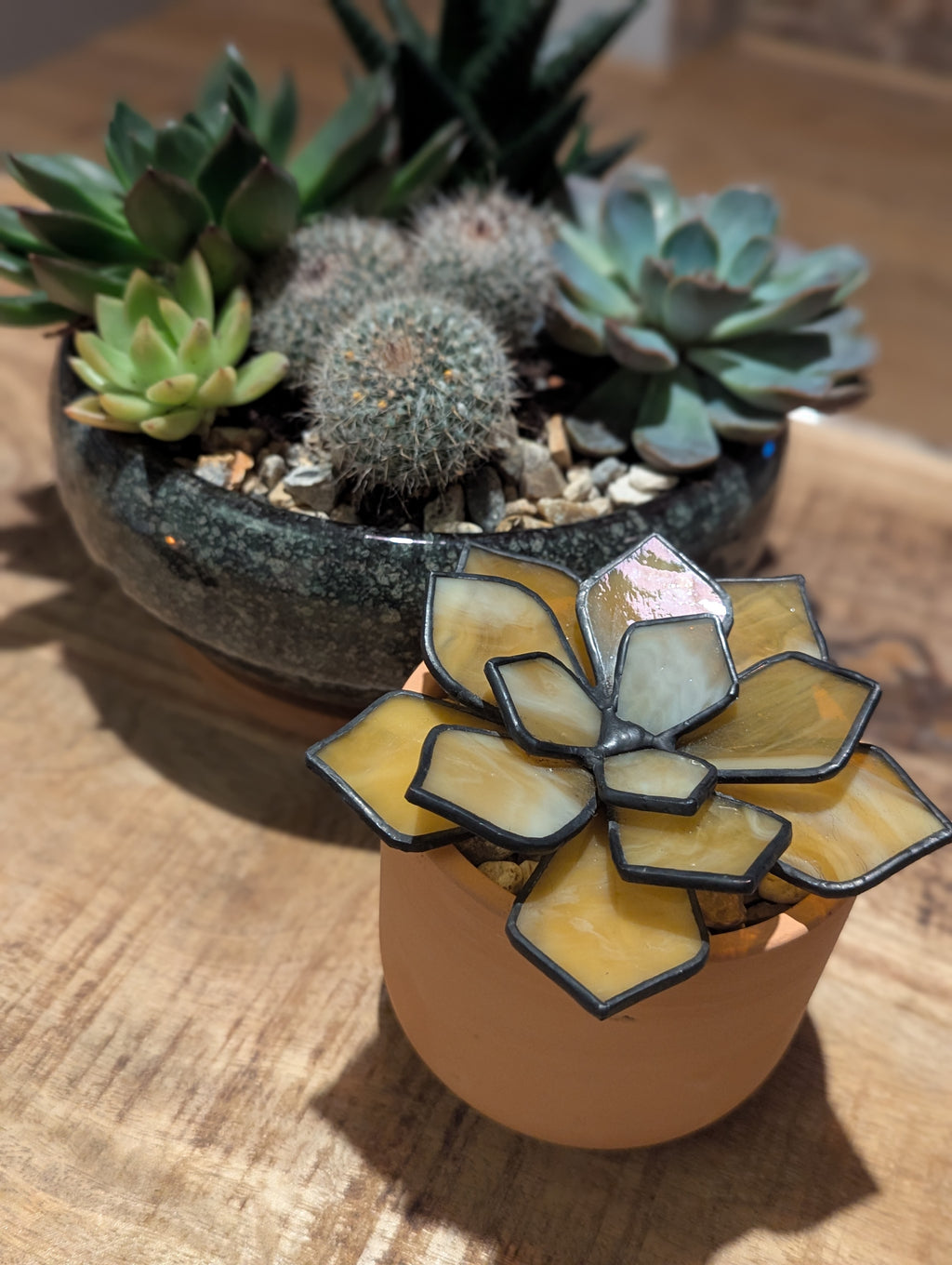 Stained Glass 3D Succulent - Milky Honey with black patina