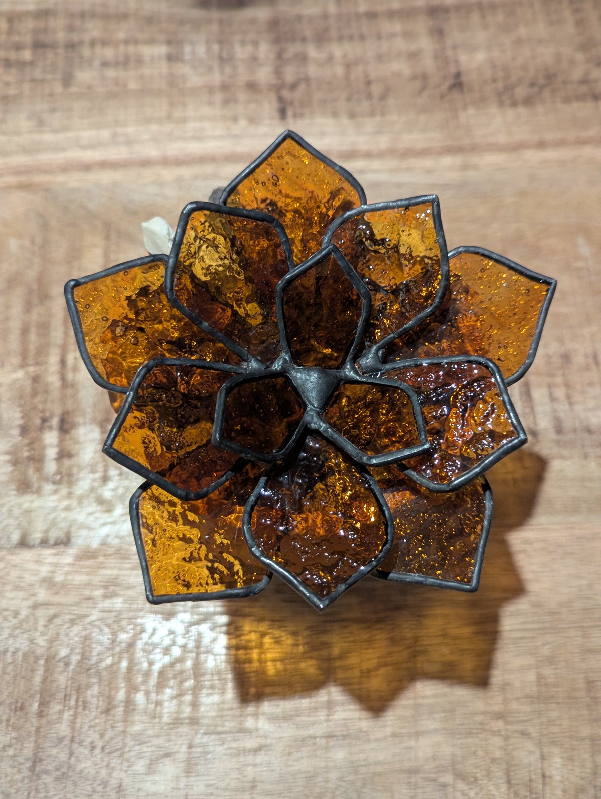 Stained Glass 3D Succulent - Transparent Textured Amber