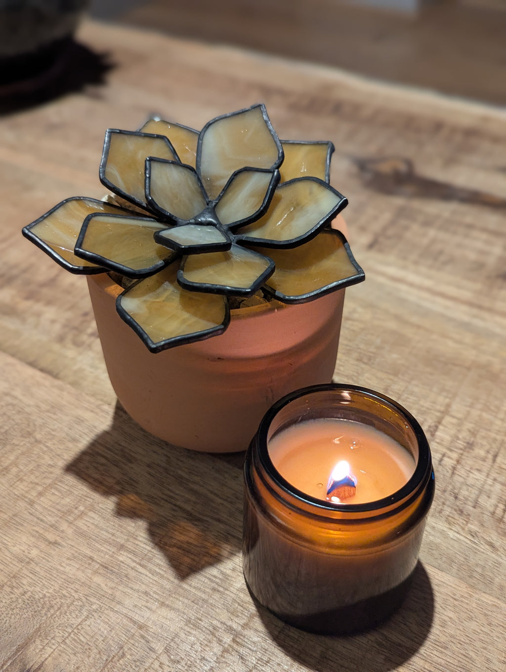 Stained Glass 3D Succulent - Milky Honey with black patina