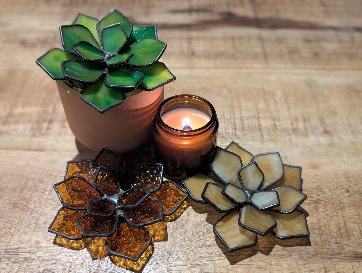 Stained Glass 3D Succulent - Milky Honey with black patina