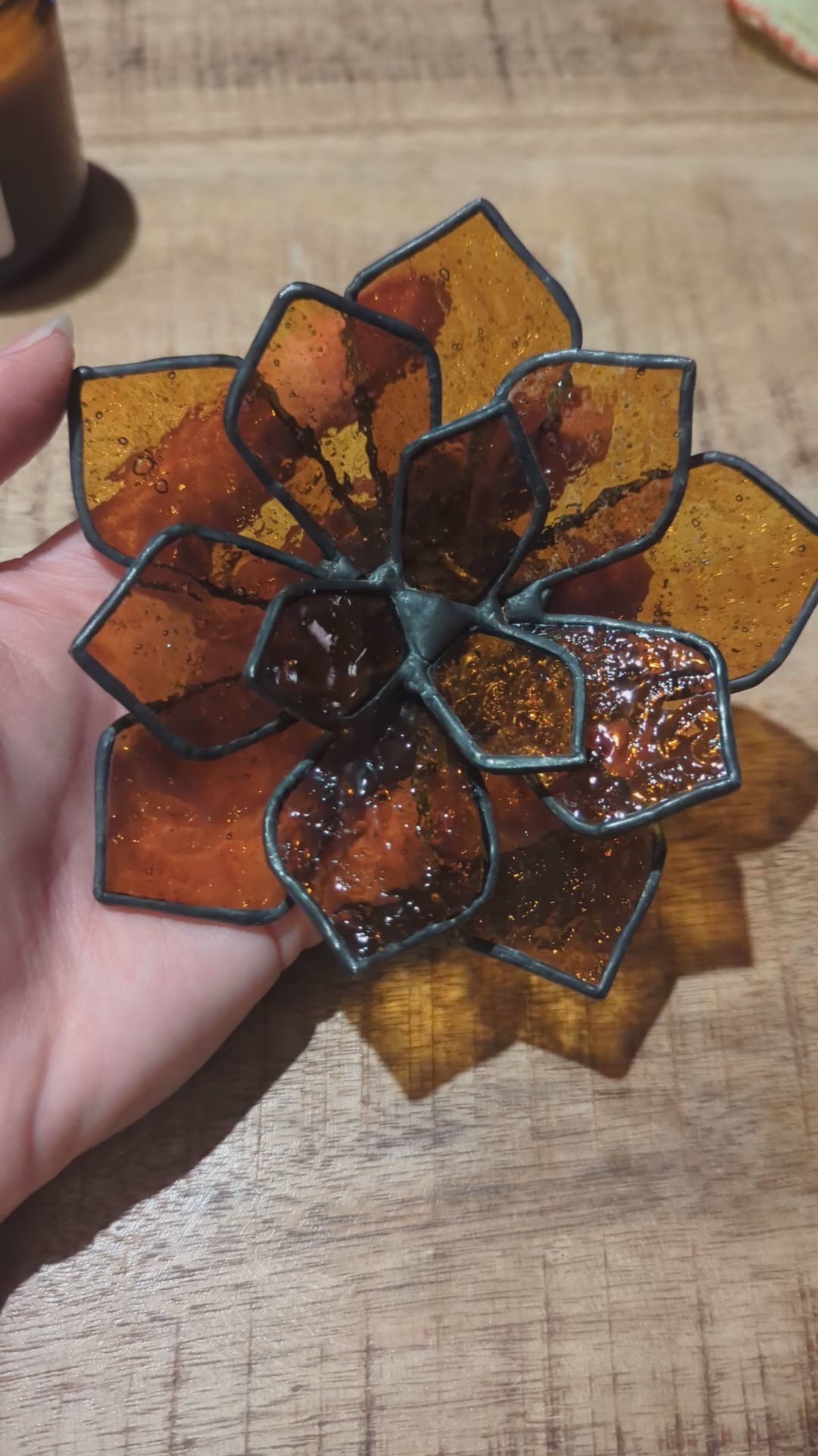 Stained Glass 3D Succulent - Transparent Textured Amber
